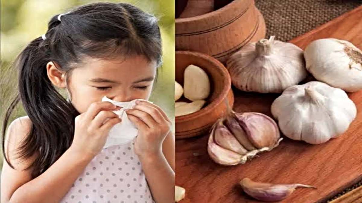Child Care Tips: बच्चों की सर्दी जुकाम ठीक करने के लिए इस तरह करें लहसुन का इस्तेमाल…