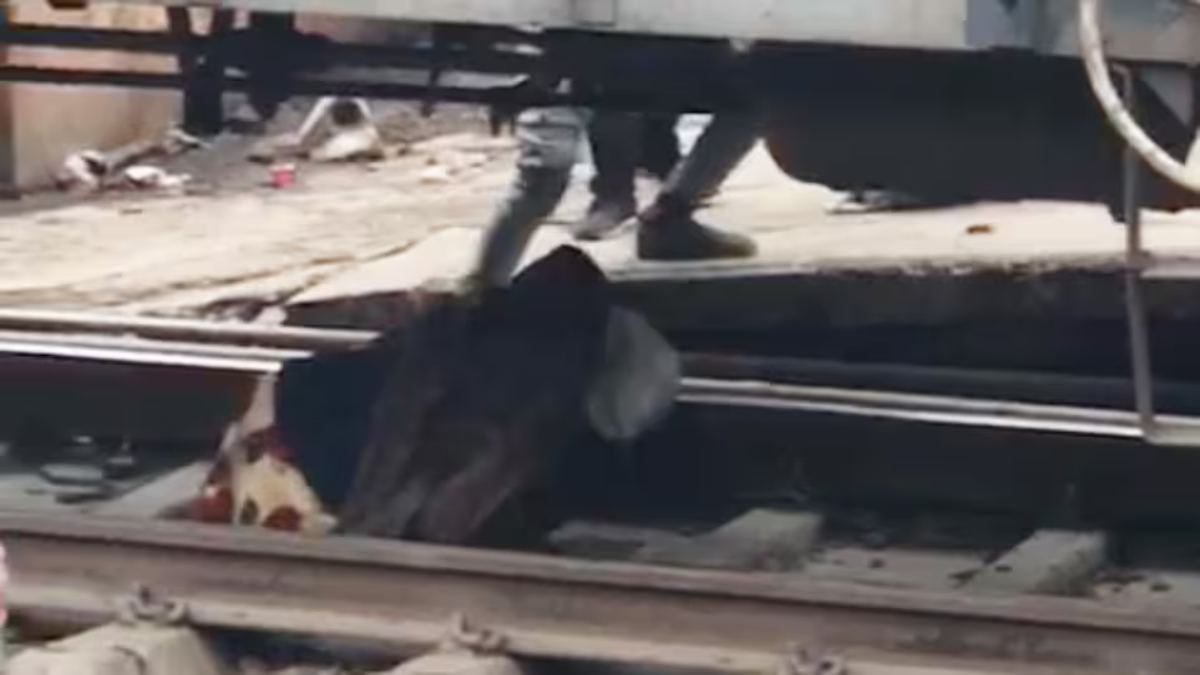 ‘मौत को छूकर टक से वापस,’ महिला के ऊपर से गुजरी मालगाड़ी, VIDEO देख मुंह को आ जाएगा कलेजा