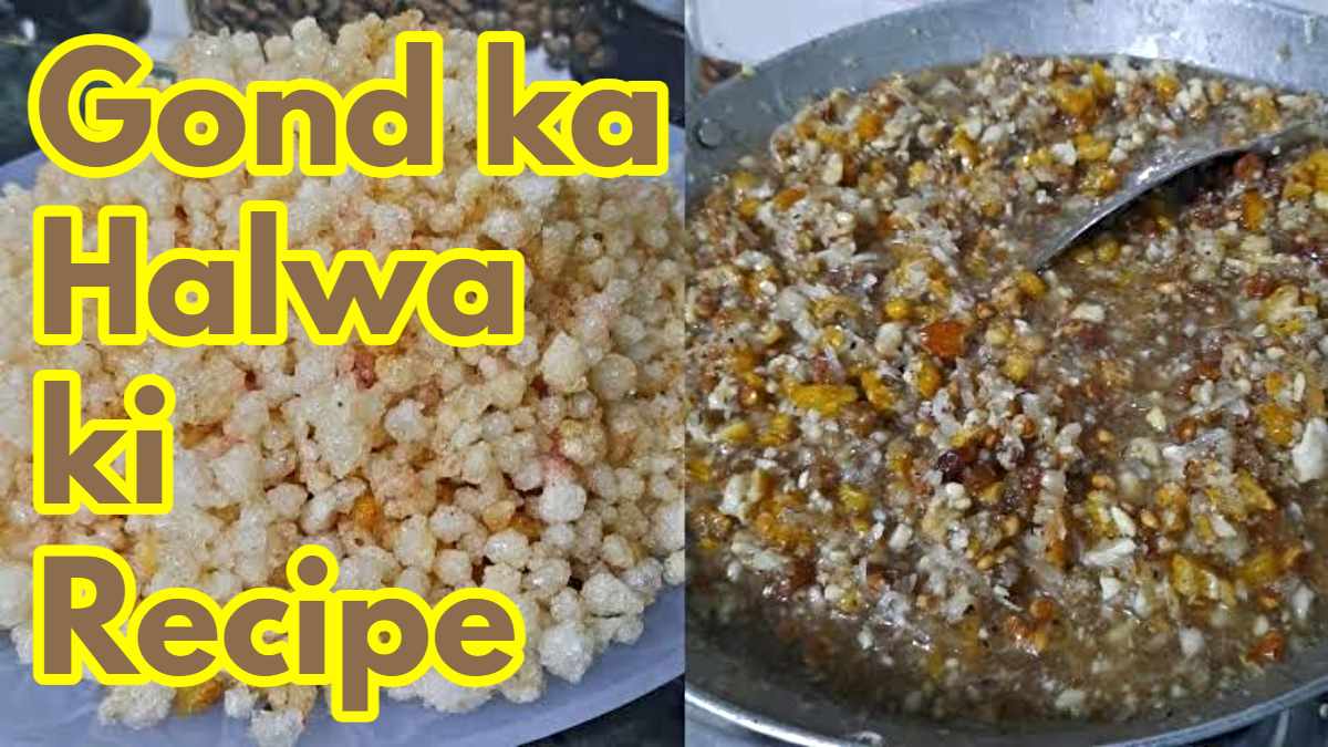 Gond ka Halwa ki Recipe: ठंड में जरूर बना कर खाने गोंद का हलवा, स्वादिष्ट होने के साथ ही बहुत फायदेमंद…