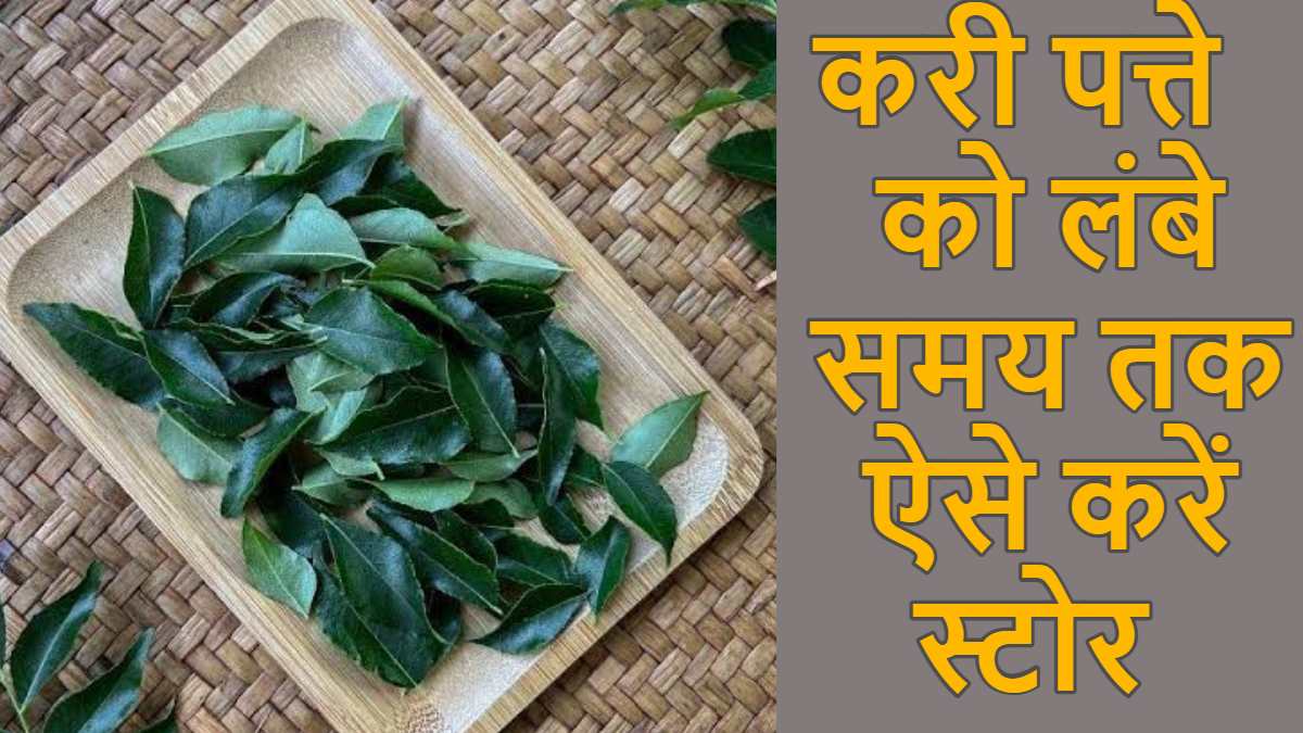 Kitchen Tips: खाने का स्वाद बढ़ाने वाले करी पत्ते को इस तरह लंबे समय तक करें स्टोर, स्वाद और ताजगी दोनों रहेंगे बरकरार