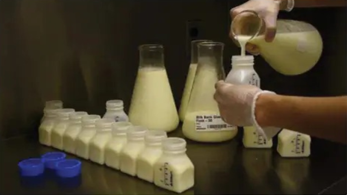 झारखंड में शुरू होगा Donor Human Milk Bank, जानें क्या होता है ह्यूमन मिल्क बैंक, कैसे करेगा ये काम