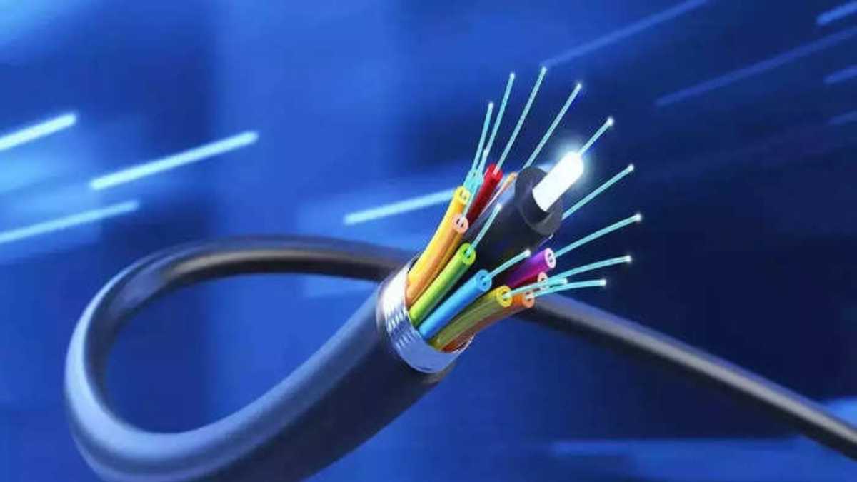 Polycab India Shares: ये शेयर आपकी बदल सकते हैं किस्मत, बाजार में जबरदस्त तेजी, जानिए कितने प्रतिशत उछले…