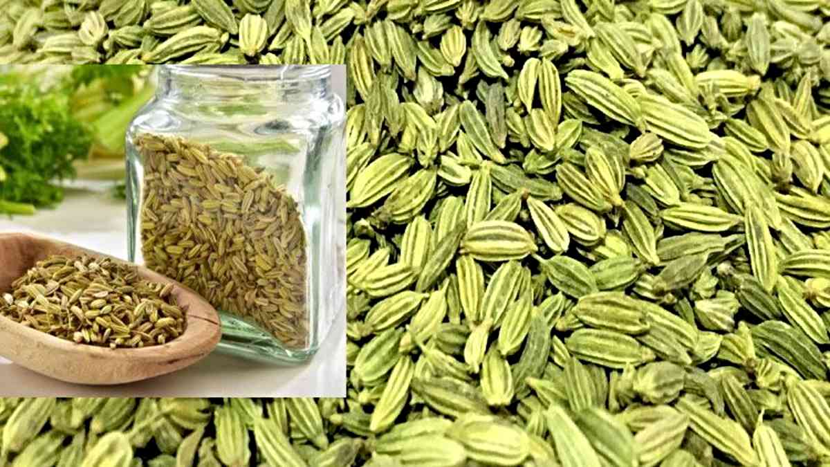 Health Tips: आयुर्वेद में सौंफ को माना गया है बहुत अच्छा, रोजाना चबा लें चार दानें और देखें फायदे…