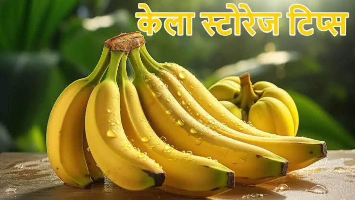Kitchen Tips: घर में आ गए हैं बहुत सारे केले, तो इस तरह से करें स्टोर नहीं होंगे जल्दी ख़राब…