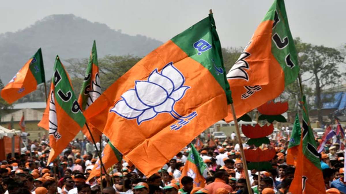 पंचायत चुनाव 2025 : महासमुंद, राजनांदगांव और दुर्ग में भाजपा ने जिला पंचायत सदस्य प्रत्याशियों की सूची की जारी, देखें लिस्ट …