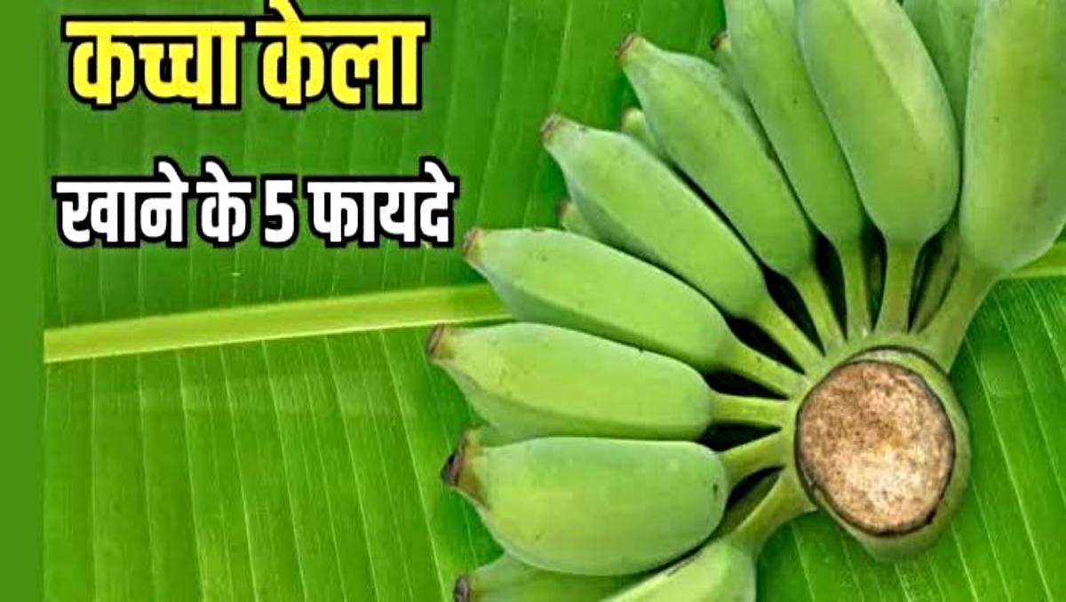 Kacche Kele ke Fayde: कच्चे केले को अपनी डाइट में आप भी करें शामिल, गट हेल्थ को करे बेहतर दिल को भी रखें स्वस्थ…