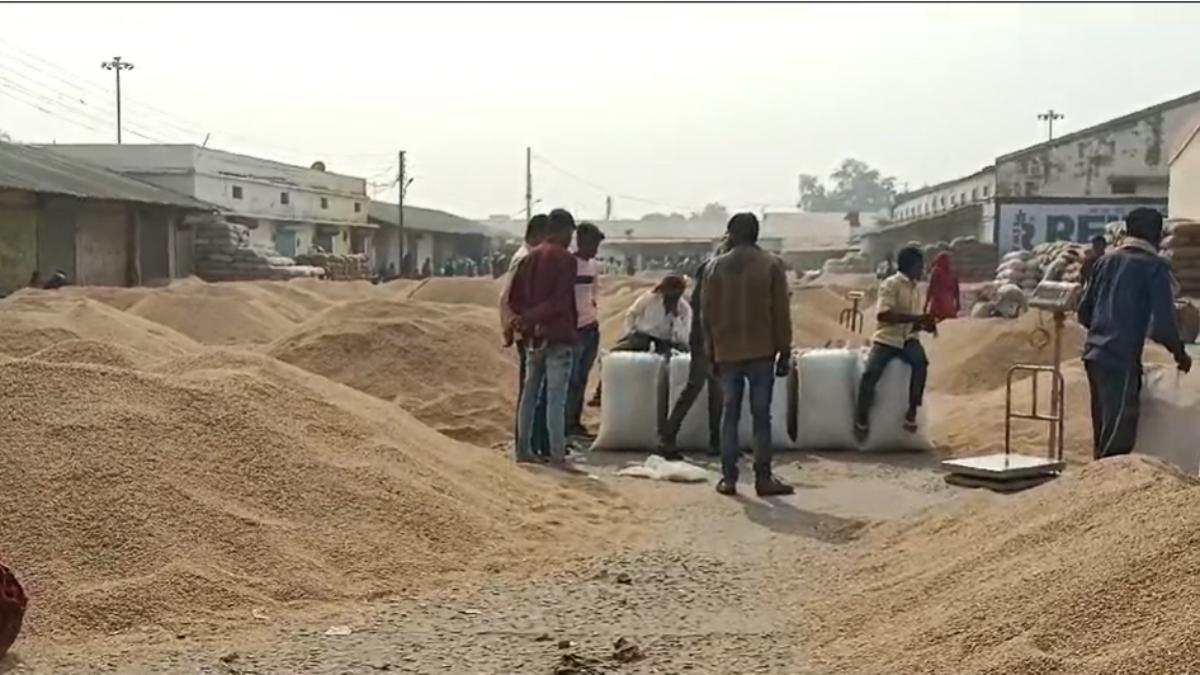 धान खरीदी में फिर गड़बड़झाला ! 11 केंद्रों पर पाई गई अनियमितताएं, बड़े किसानों और व्यापारियों की मिलीभगत, कलेक्टर ने बनाई जांच समिति