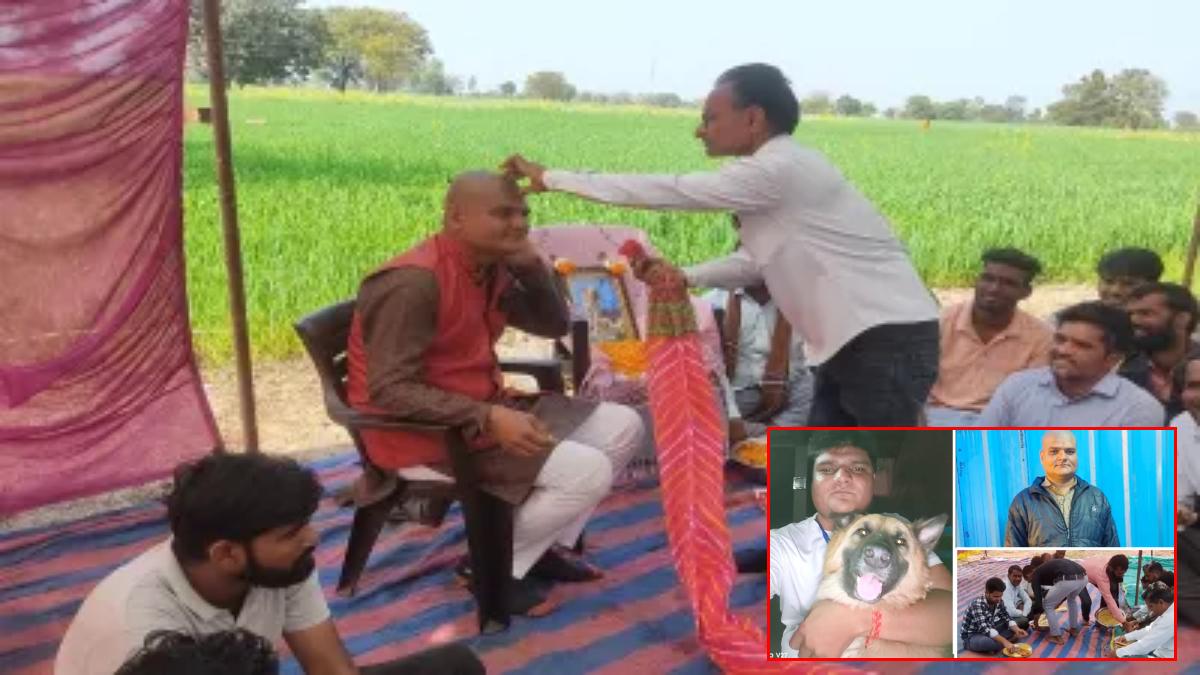 नहीं देखा होगा ऐसा डॉग लवर: कुत्ते की मौत के बाद मालिक ने करवाया मुंडन, तेरहवीं में लोगों को कराया भोजन