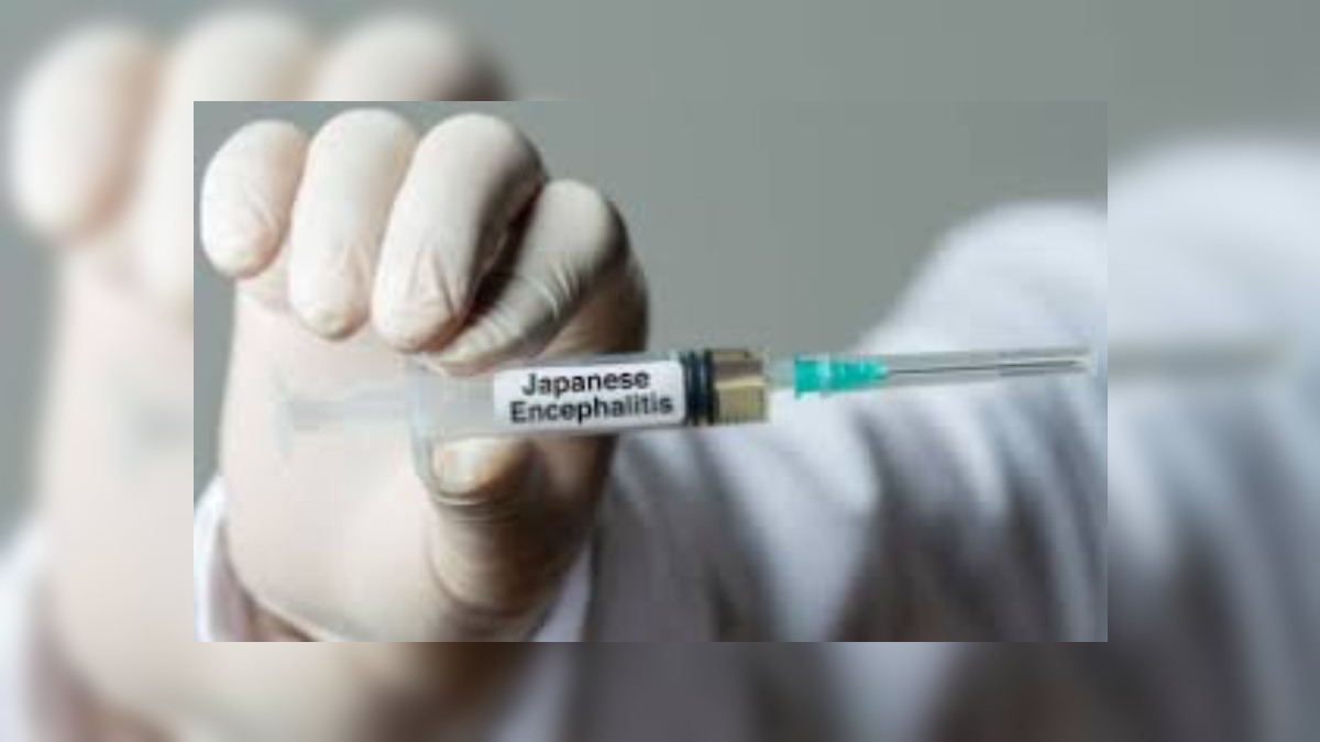 ग्वालियर में जापानी इंसेफेलाइटिस ने दी दस्तक: 15 साल की किशोरी में वायरस की पुष्टि, जानें क्या हैं लक्षण और बचाव