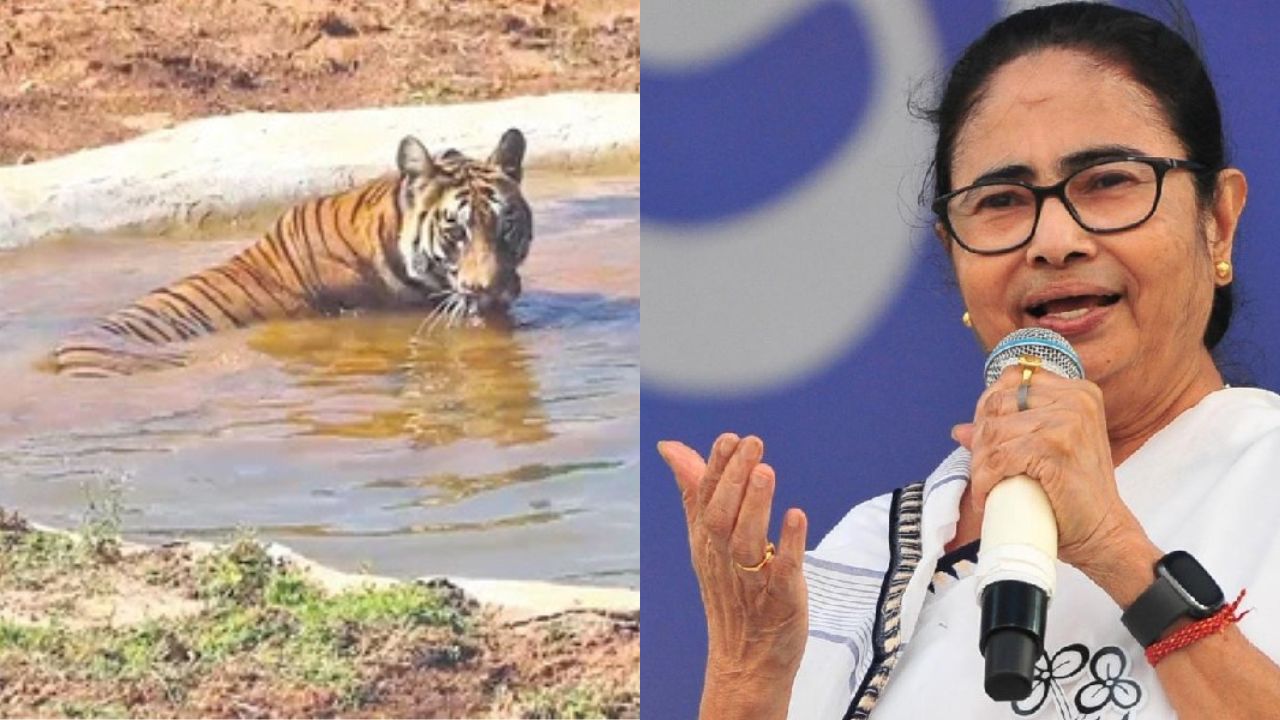 ममता बनर्जी ने ओडिशा पर साधा निशाना, जाने क्यों