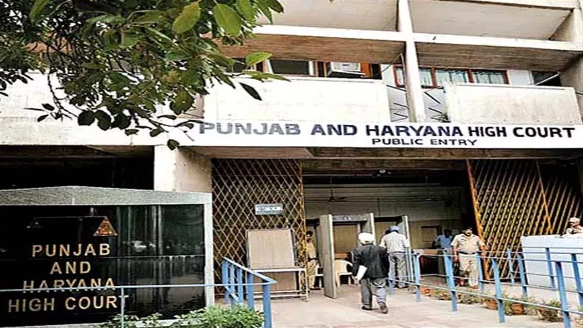 पटियाला नगर निगम चुनावों पर हाईकोर्ट का फैसला, 7 वार्डों के चुनाव स्थगित करने का आदेश रद्द
