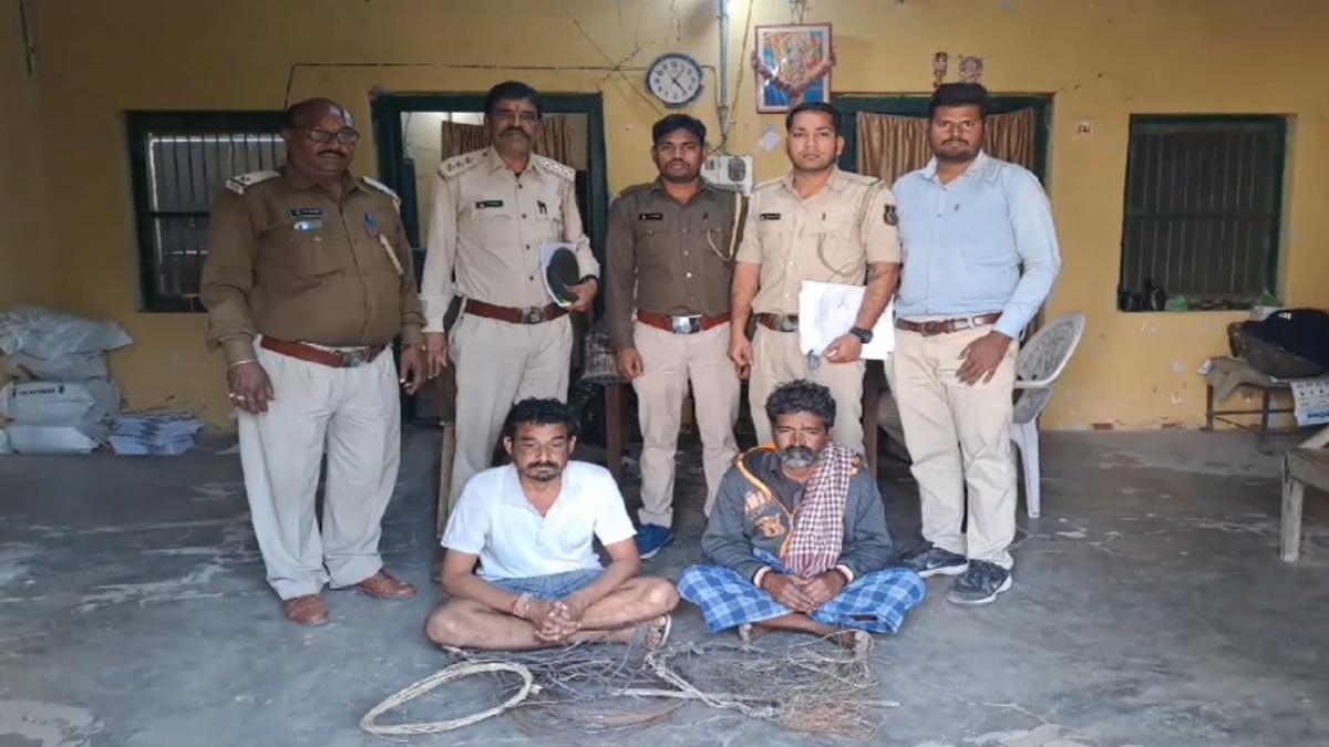 CG News : जाल बिछाकर तेंदुआ का शिकार करने वाले दो आरोपी गिरफ्तार, भारी मात्रा में बिजली और फेंसिंग तार जब्त 
