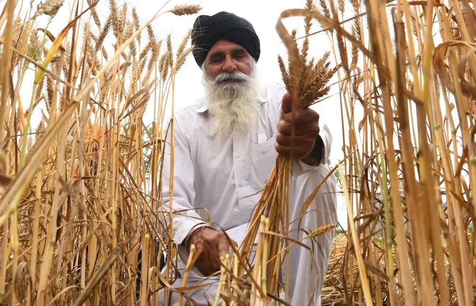 पंजाब के किसान अनाज की उचित कीमत को लेकर कर रहे आंदोलन और सरकार इस बात को लेकर चिंतित