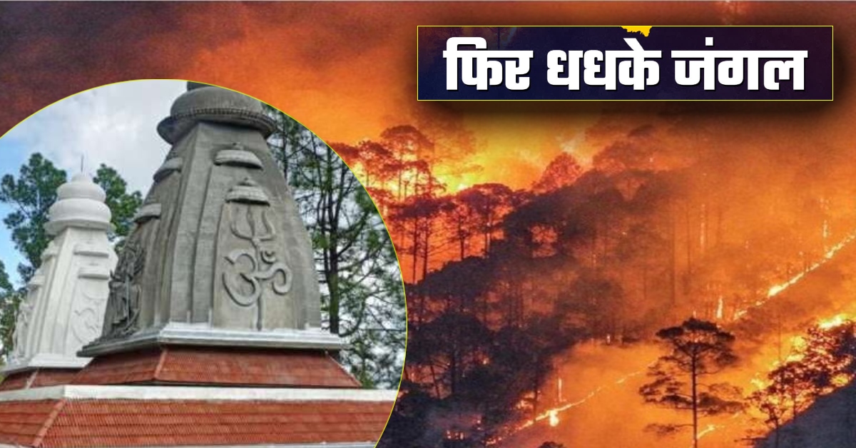 चंपावत में धधके जंगल : अराजक तत्व ने जंगल में लगाई आग, वनकर्मी बोले- दोषियों को बख्शा नहीं जाएगा