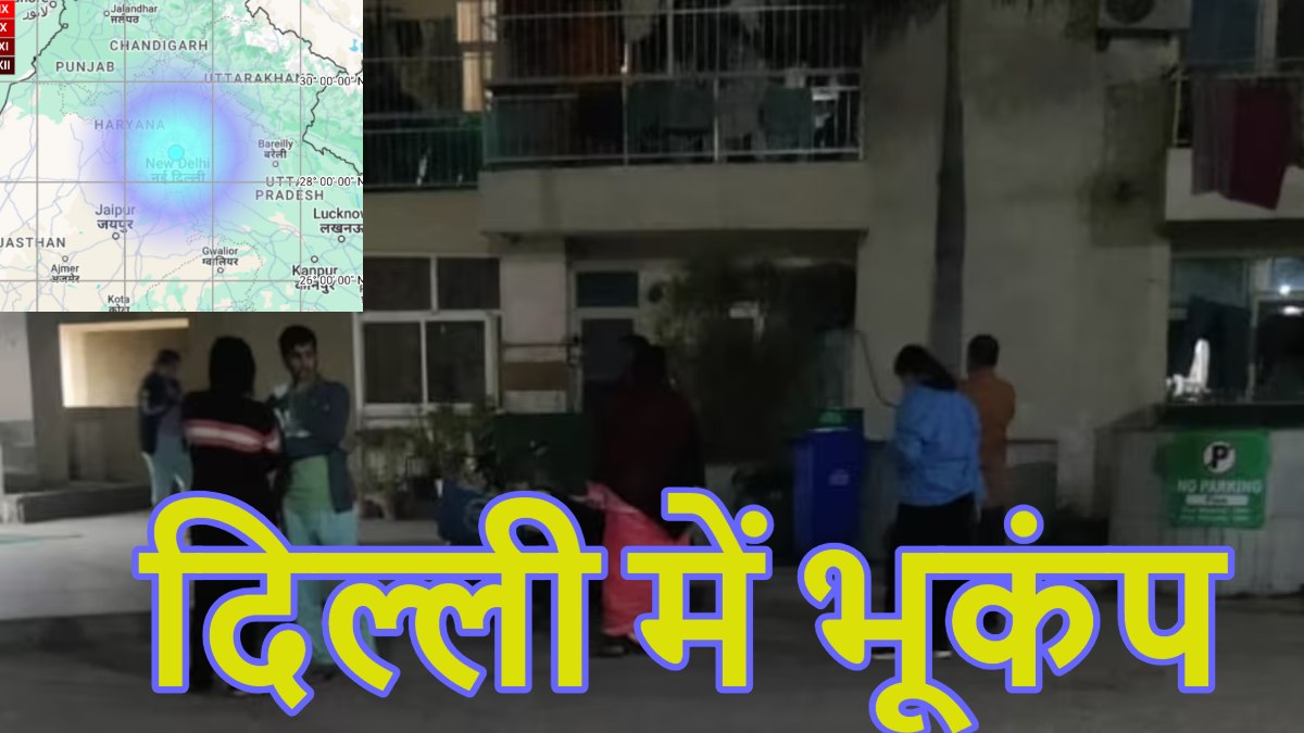दिल्ली भूकंप Video: तेज गड़गड़ की आवाज, गलियों में भागते लोग और तेज आवाज के साथ इधर-उधर उड़ते पक्षी… कुछ ऐसा था दिल्ली-NCR में आए भूकंप के दौरान का मंजर