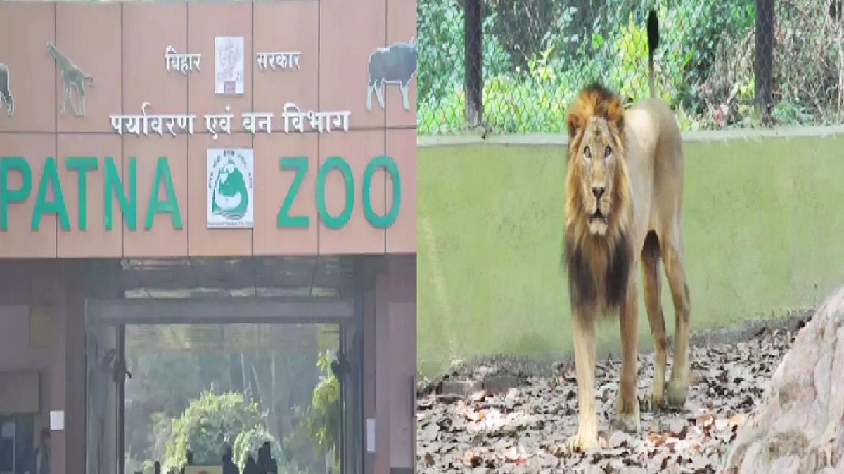 पटना चिड़ियाघर में अब सैर करने के लिए मिलेगी साइकिल, पर्यटक आसानी से कर सकेंगे बाघ, शेर और तेंदुआ समेत अन्य जानवरों का दीदार