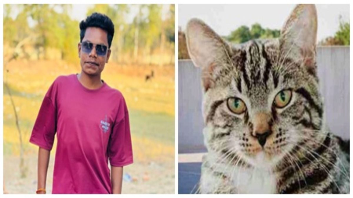 बिल्ली ने ले ली युवक की जान, हुआ कुछ ऐसा कि मौत के मुंह में चला गया इंसान, आप भी हो जाए सावधान 