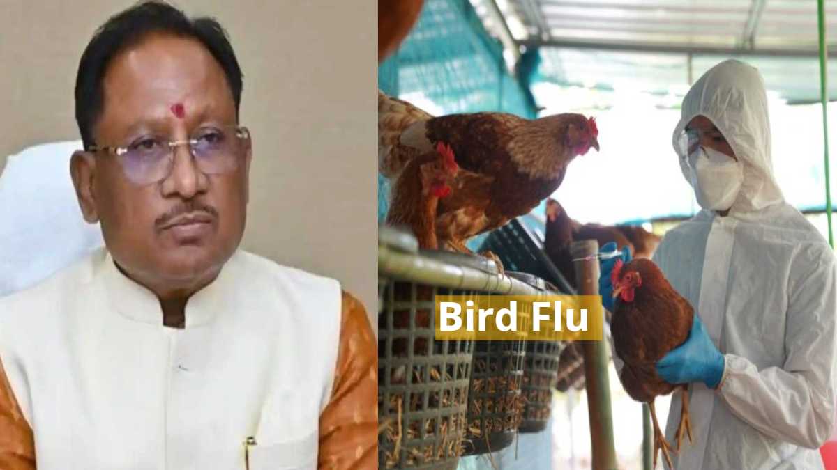 Bird Flu Alert in CG : मुख्यमंत्री साय ने बर्ड फ्लू की रोकथाम के लिए कलेक्टरों को दिए निर्देश, राज्य और जिला स्तर पर बनेगा कंट्रोल रूम