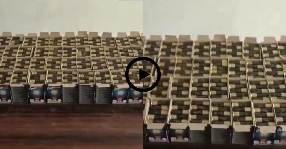 UP STF की बड़ी कार्रवाई : टीम ने जब्त किए 1900 से ज्यादा जिंदा कारतूस, गैंग का सक्रीय सदस्य भी चढ़ा हत्थे