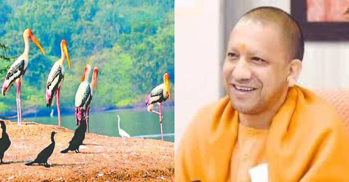 फोटो खींचिए और लाखों जीतिए… 200 प्रजाति के पक्षियों का महाकुंभ, योगी सरकार करा रही इंटरनेशनल बर्ड फेस्टिवल का भव्य आयोजन