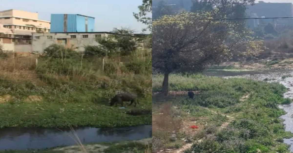 UP में 700 करोड़ का महाघोटालाः भू-माफियाओं ने सरकारी जमीन पर किया खेला, जानिए फिर कैसे खुली काली करतूतों की पोल…