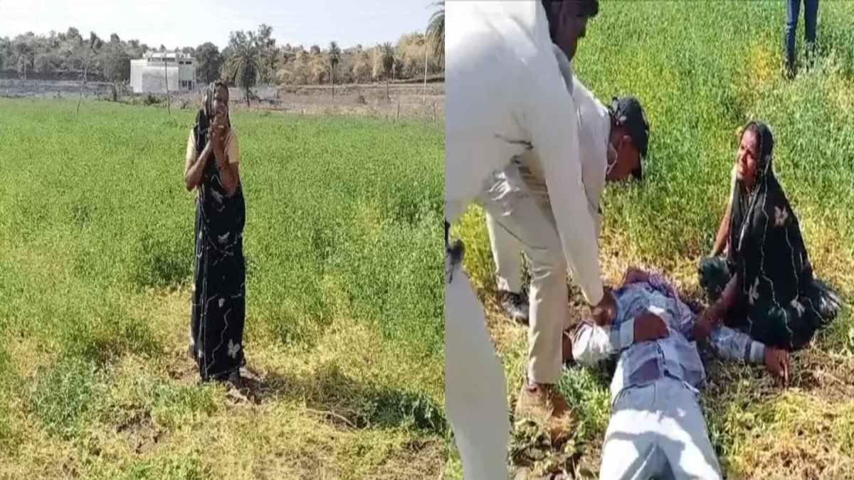 अन्नदाता पर सिस्टम का जुल्म! रोता रहा किसान, फिर भी नहीं पसीजा अधिकारियों का दिल, 30 बीघा की खड़ी फसल को किया तहस-नहस, जिम्मेदार बताएं ये कहां का न्याय है?