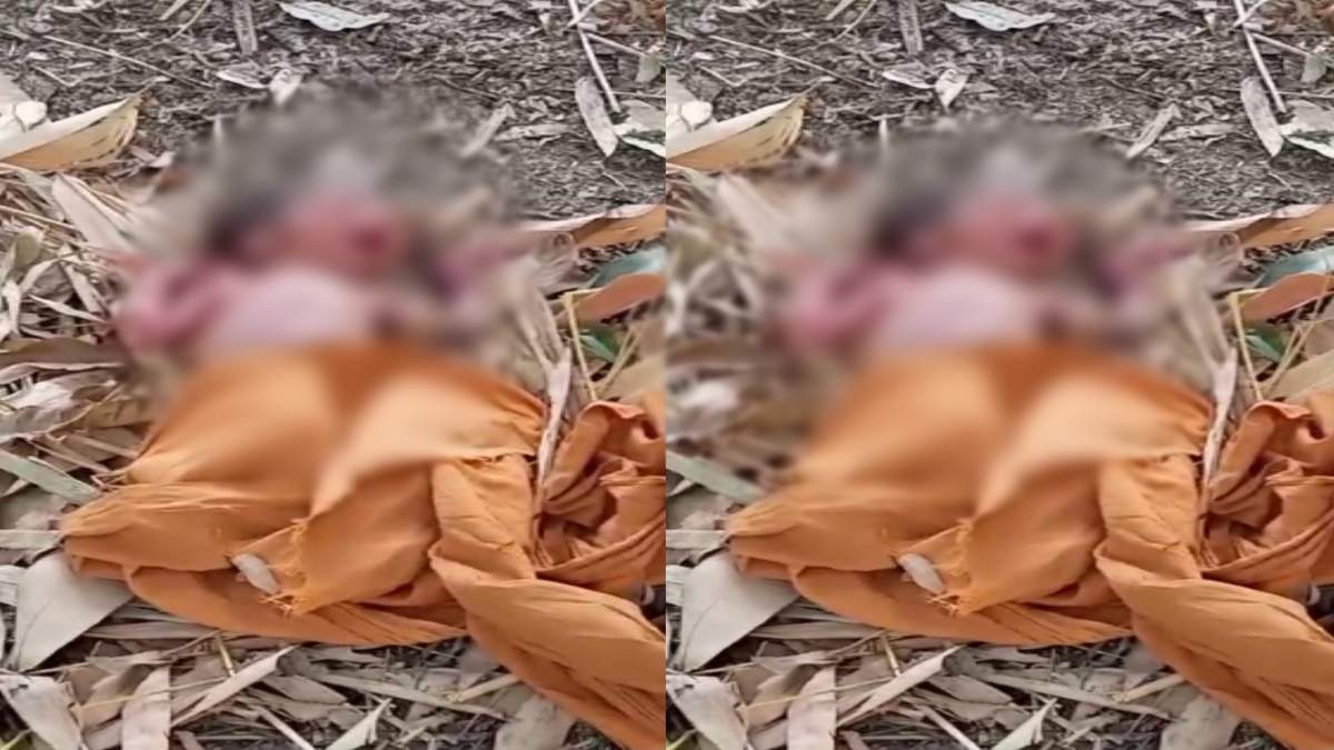 कलयुगी मां की करतूत: खेत में नवजात को छोड़ हो गई फरार, इधर रोता रहा बच्चा, फिर…
