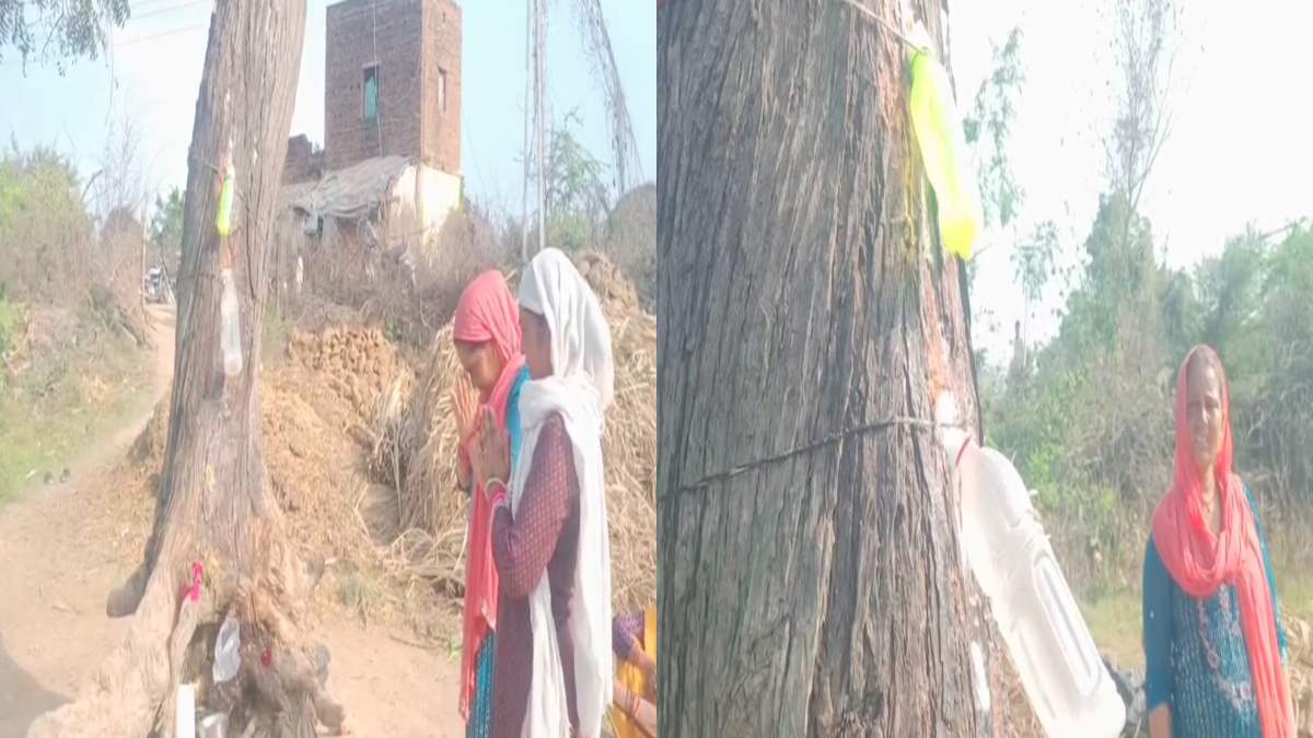 ये तो चमत्कार ही हो गया… नीम के पेड़ से निकल रहा दूध! उमड़ पड़ी लोगों की भीड़, कर रहे पूजा-पाठ, देखें VIDEO