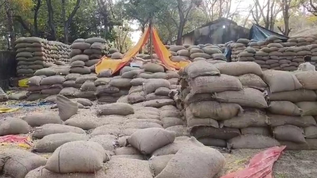 खरीदी केंद्र में बड़ी लापरवाही: एक करोड़ कीमत की 4000 क्विंटल धान गायब, जांच के लिए पहुंची टीम