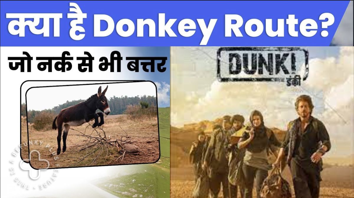 Donkey Route: ‘डंकी रूट’ से होकर अमेरिका पहुंचे थे भारतीय, इस राज्य से है कनेक्शन, जानें कैसे बिना वीजा के यूरोप-अमेरिकी देशों में दाखिल होते हैं लोग