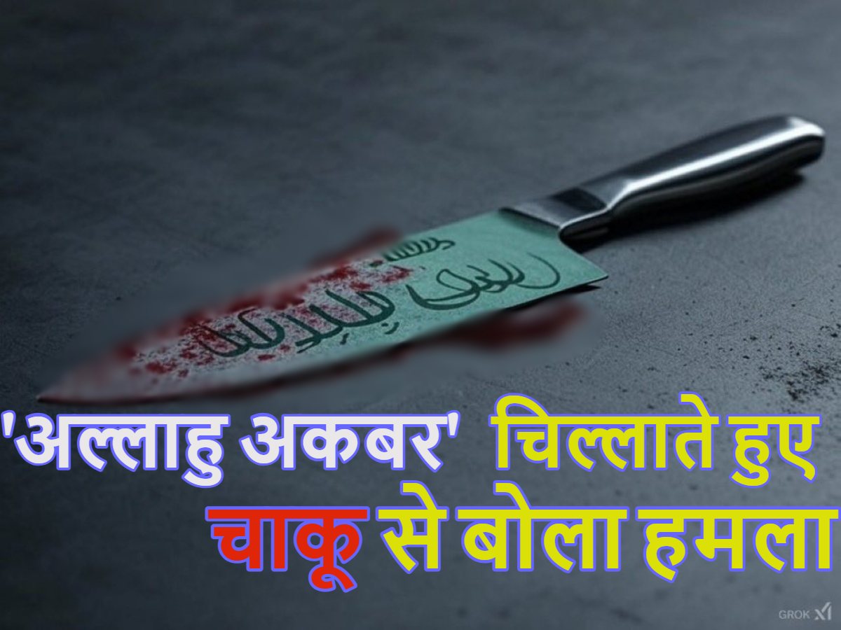 ‘अल्लाहु अकबर’ चिल्लाते हुए शख्स ने चाकू से बोला हमला, इतने लोगों की गई जान, जानिए कहां का है ये मामला, Watch Video