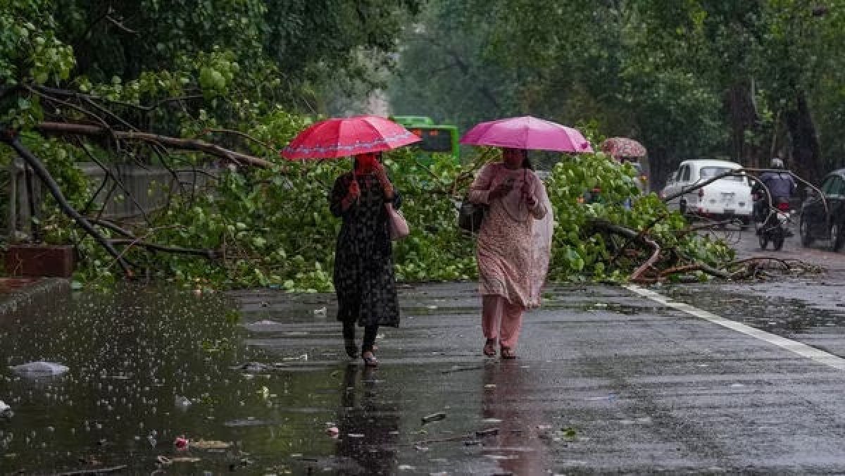 Bihar Weather News Today : बिहार के इन जिलों में बारिश और वज्रपात की चेतावनी , आंधी मचाएगी तबाही!  अलर्ट जारी…