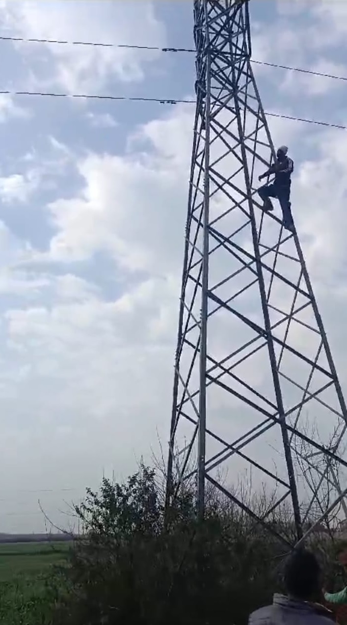 खुदकुशी करने बिजली के टावर पर जा चढ़ा युवक, मचा हड़कंप