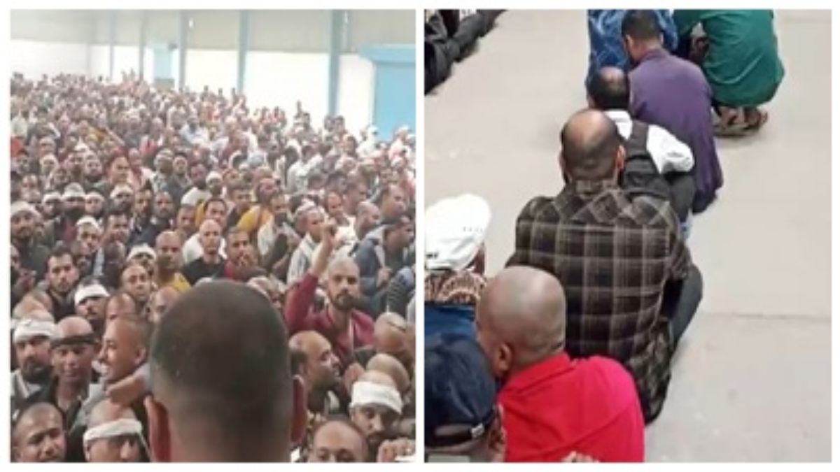 ‘सलमान’ ने लगाई इंदौर में दुकान: तेल लेने उमड़ पड़ी गंजों की भीड़, काली-घनी जुल्फों की ख्वाइश में टूट पड़े लोग 