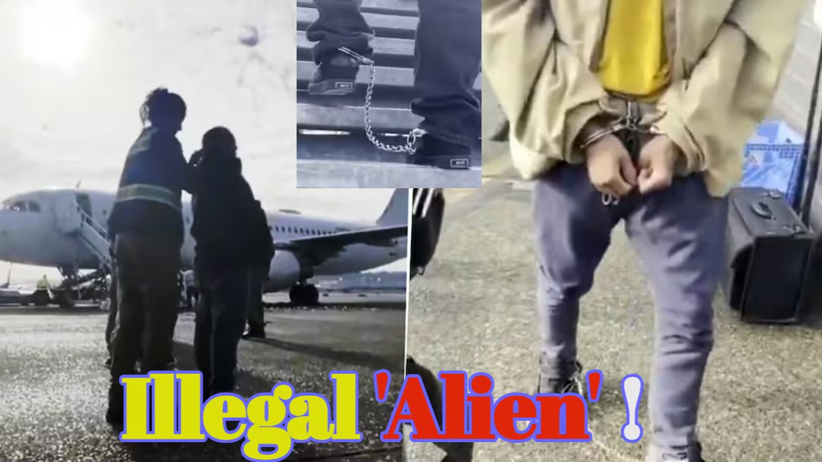 Illegal Alien Video: अपराधी की तरह हथकड़ी और बेड़ियों में जकड़कर अवैध अप्रवासियों को भेज रहा अमेरिका… व्हाइट हाउस ने ‘Illegal Alien’ टैग के साथ जारी किया Video, मस्क बोले- ‘WOW’