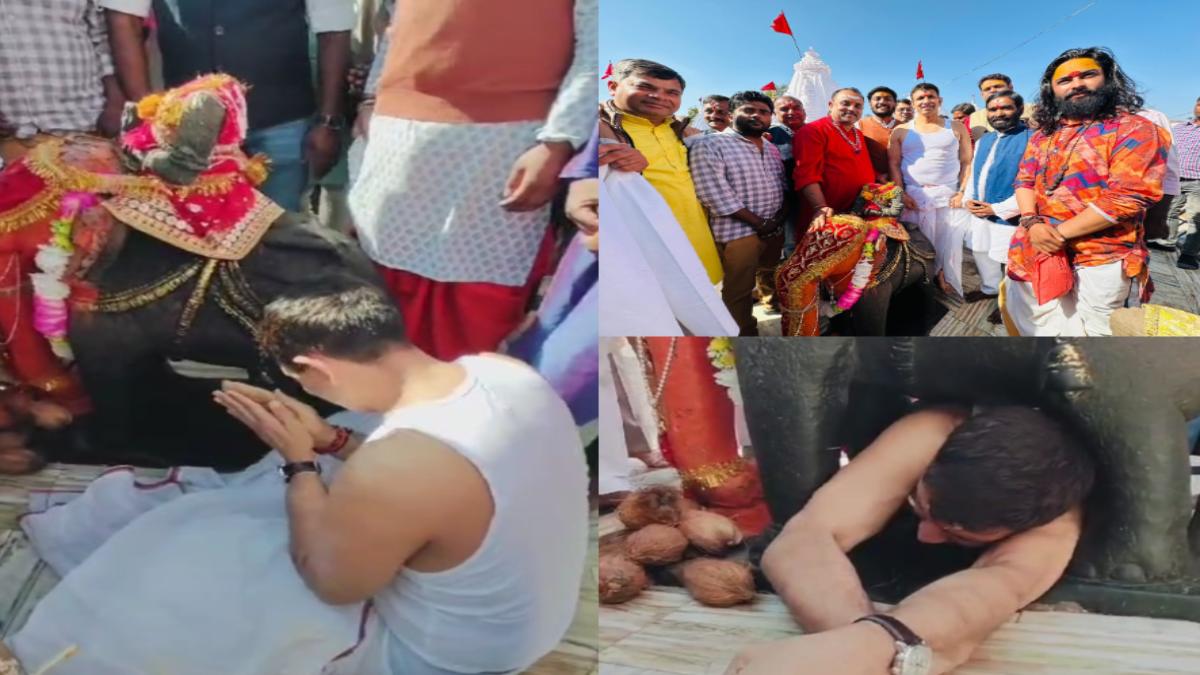 PCC चीफ ने की मां नर्मदा की पूजा: हाथी प्रतिमा के नीचे से भी निकले, CM और पूर्व सीएम को दे दी ये बड़ी चुनौती