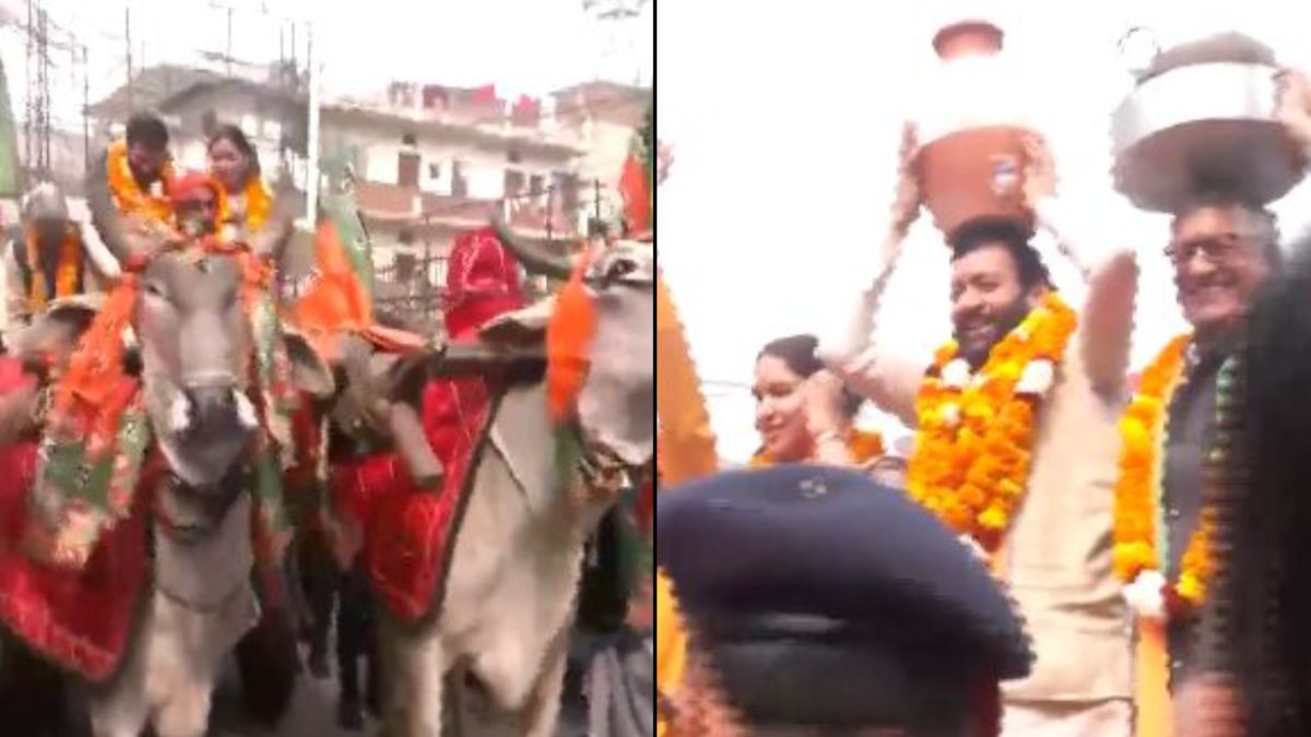 दिल्ली में यमुना पर सियासत के बीच हरियाणा के CM का अनोखा अंदाज: नायब सैनी ने बैलगाड़ी में बैठकर सिर पे मटका रखकर किया प्रचार, देखें वीडियो