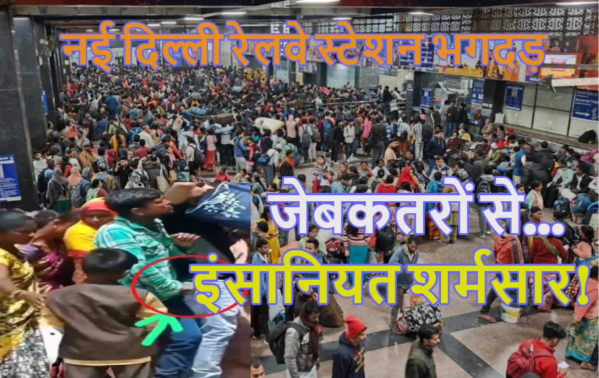 इंसानियत शर्मसार! भगदड़ के दौरान जेबकतरों की शर्मनाक करतूत, जेबकतरे ब्लेड और चाकुओं से लोगों की…, चश्मदीदों की कहानी सुनकर सहम जाएंगे आप