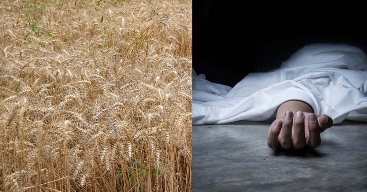 हत्या या आत्महत्या ? संदिग्ध परिस्थितियों में मिला किसान का शव, मामले की जांच में जुटी पुलिस