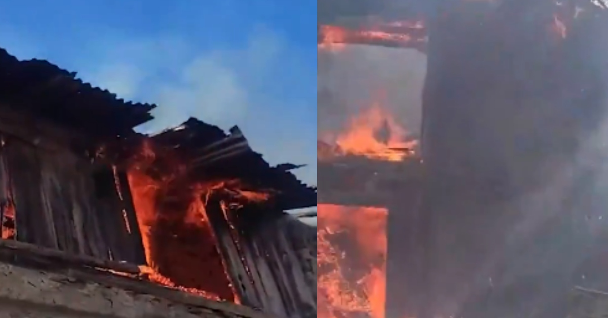 पशु आश्रय में लगी भीषण आग, जलकर मर गए कई जानवर, दूर तक दिखाई दे रही थी लपटें