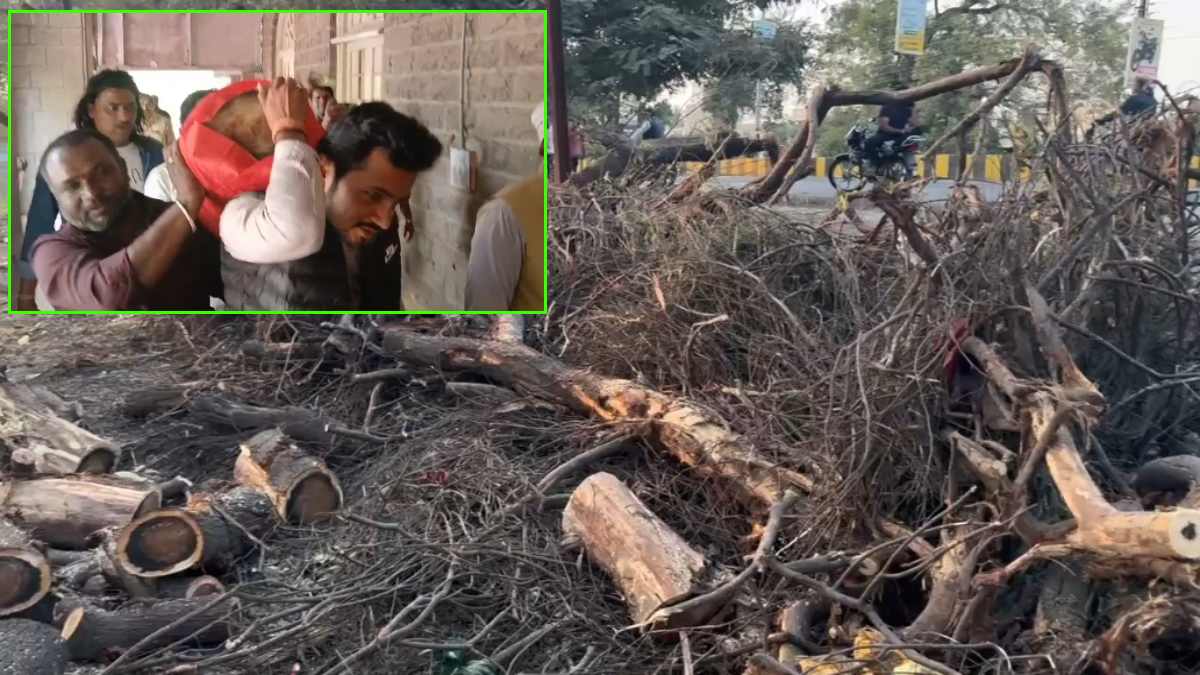 कलेक्टर की जनसुनवाई में पेड़ कटाई का विरोधः कटे पेड़ के टुकड़े लेकर कलेक्ट्रेट पहुंचे कांग्रेस पार्षद, की कार्रवाई की मांग