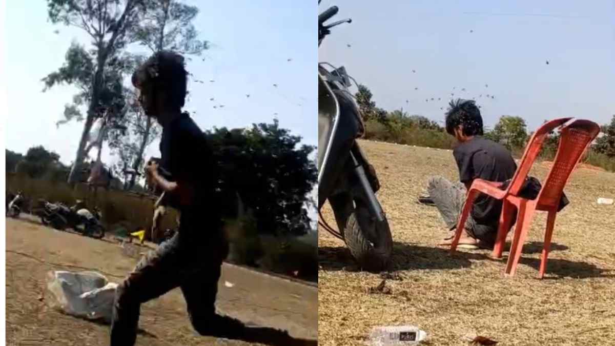 क्रिकेट मैच के दौरान मधुमक्खियों का हमला: जान बचाकर भागे खिलाड़ी, एक ने खुद को किया सरेंडर, फिर जो हुआ…