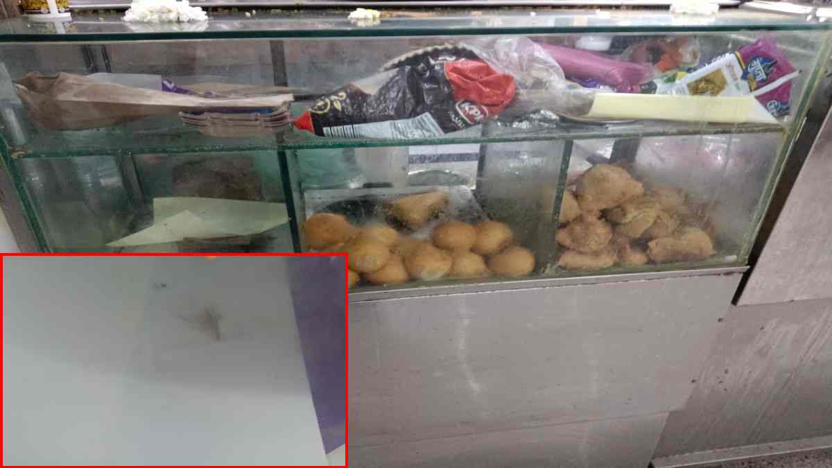 स्वास्थ्य से खिलवाड़ः अस्पताल की कैंटीन में गंभीर लापरवाही, कचौरी-समोसे में कॉकरोच मिले, वीडियो वायरल