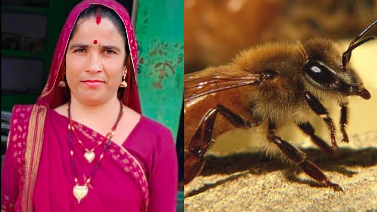 खाना खाते समय महिला के होंठ पर मधुमक्खी ने मारा डंक, कुछ ही देर में बिगड़ी तबीयत, अस्पताल में हुई मौत