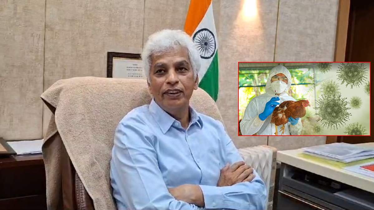 महाराष्ट्र में बर्ड फ्लू की दस्तक के बाद MP में अलर्टः जबलपुर कलेक्टर ने दिए सैंपलिंग के निर्देश, पॉजिटिव मिलने पर किया जाएगा सील