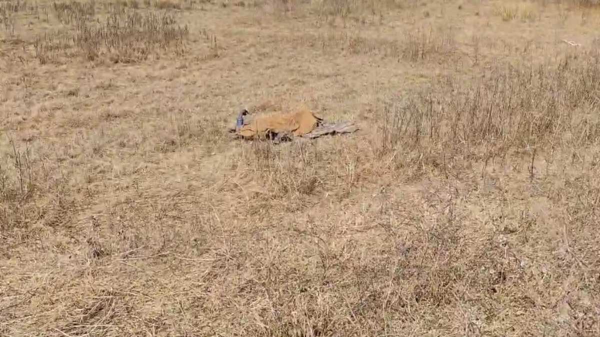Dindori Murder: ब्लाइंड मर्डर से क्षेत्र में सनसनी, 32 वर्षीय युवक की धारदार हथियार से हत्या