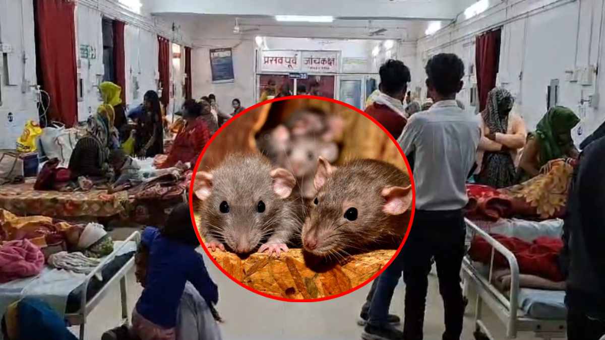 लापरवाही की हद! जिला अस्पताल में चूहों के आतंक से परेशान मरीज, भर्ती नवजात को संक्रमण का खतरा, प्रबंधन नहीं दे रहा ध्यान