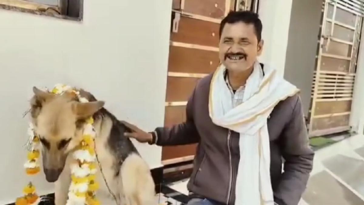 जिन्नी के लिए दर-दर भटका किसान, सोशल मीडिया में डाला पोस्ट, फिर..