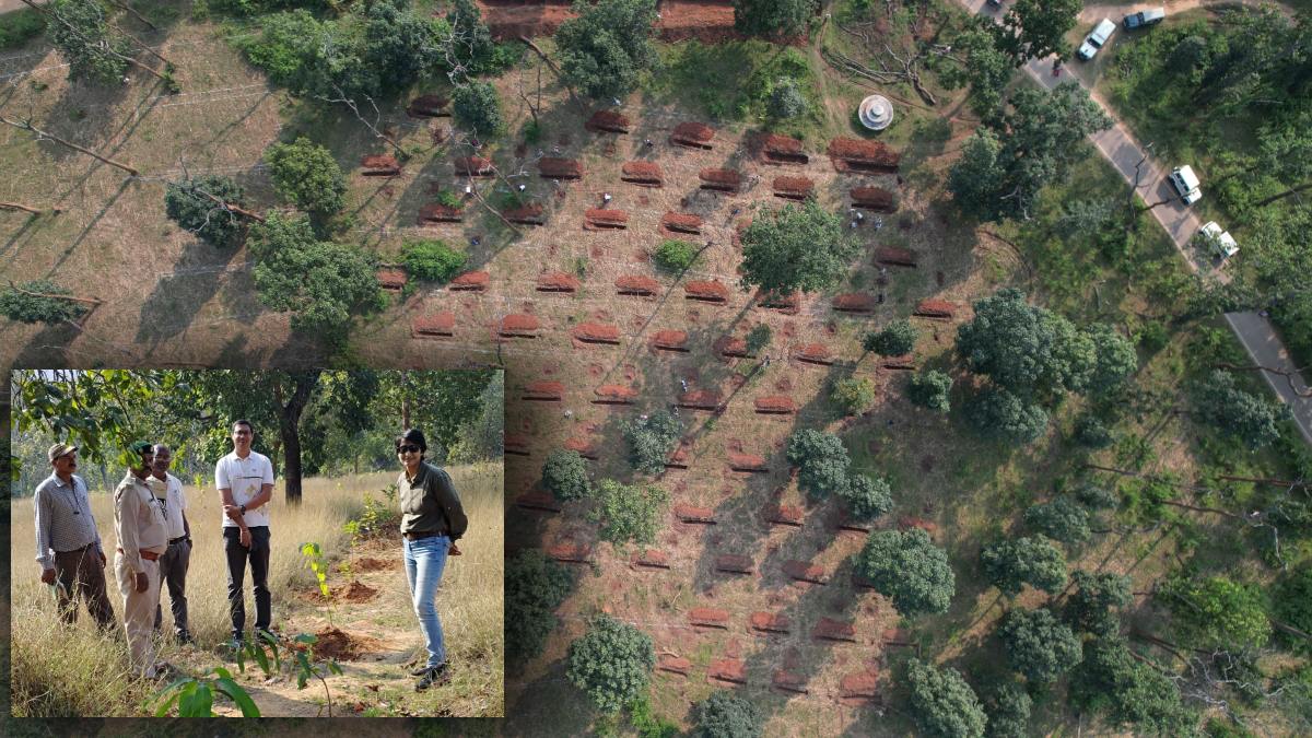 हरियाली की बहाली: जापानी तकनीक मियावाकी से बनेगा घना जंगल, उदंती सीता नदी अभ्यारण्य प्रशासन ने शुरू की तैयारी
