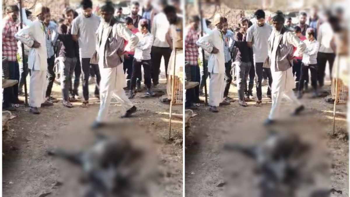 मृत अवस्था में मिला काला हिरण, शिकार की आशंका, शरीर पर मिले गंभीर घाव के निशान